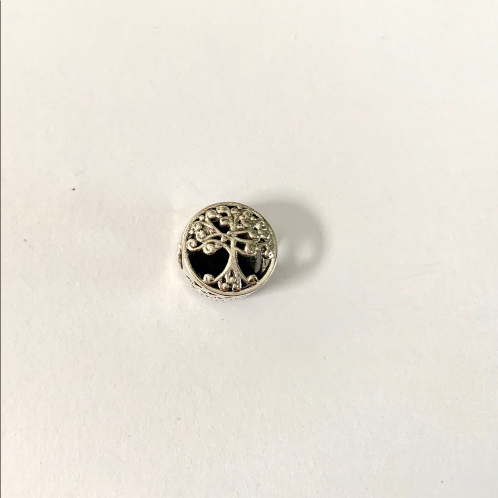 Pandora sterling silver charm